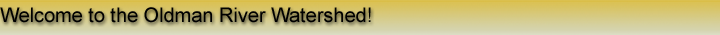 Home.png