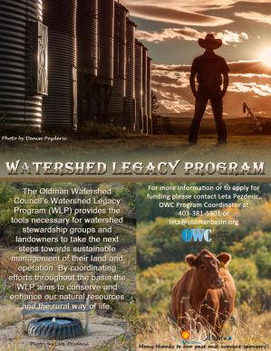 WLP Newsletter Nov 2014.jpg